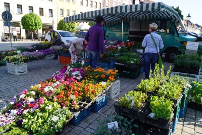 Schmöllner Blumenmarkt