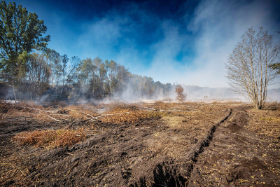 Brand bei Meuselwitz