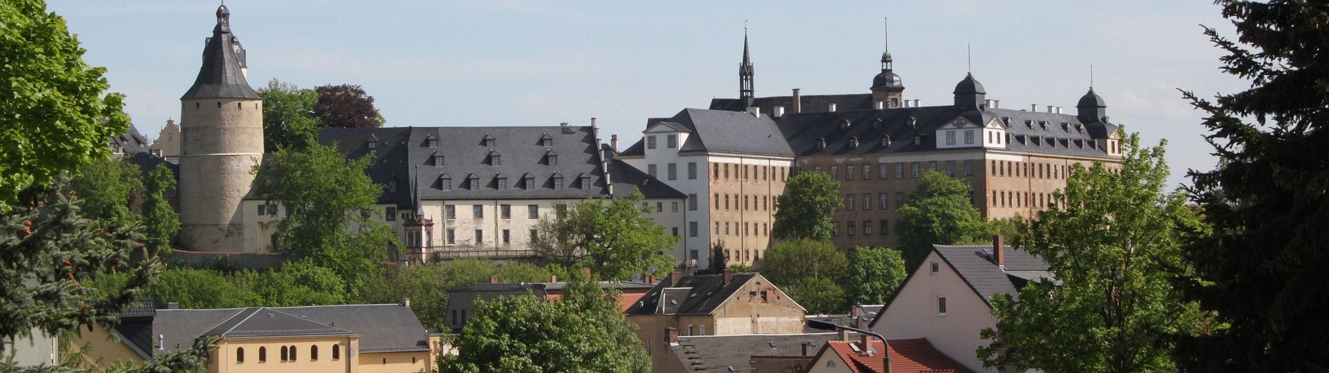 Blick auf das Altenburger Schloss